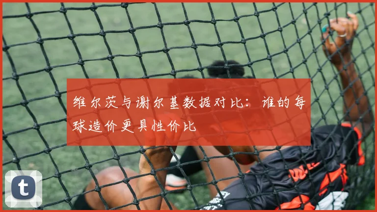 维尔茨与谢尔基数据对比：谁的每球造价更具性价比